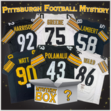 Caja misteriosa de camisetas de fútbol americano de Pittsburgh autografiadas/firmadas con PSA JSA o Beckett COA 