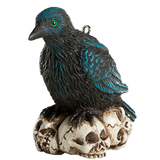 Raven