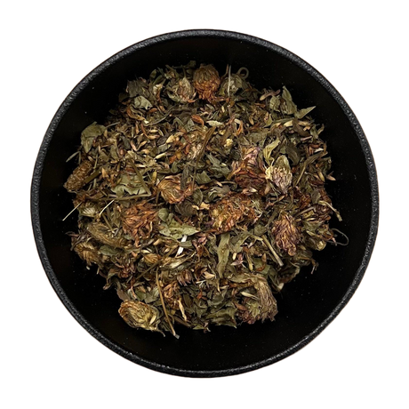 Red Clover Tops Whole (Trifolium Pratense)-2