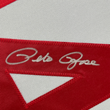 Camiseta de béisbol enmarcada, autografiada y firmada por Pete Rose, 35 x 39, color gris Cincinnati, JSA COA