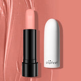High Quality Popfeel Waterproof Lasting Matte Luxury Velvet Lipstick Make up Smudge-Free Pigmented Lipsticks Lip Gloss Cosmetics