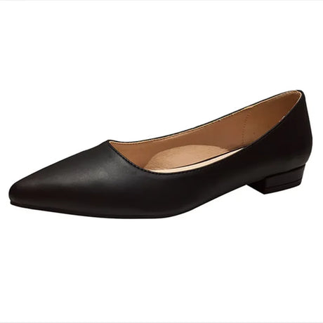 Woman Closed Back Snug Shoes Low Heels 2cm Null Pumps Pointy Toe Slip-On Red Black Beige Narrow Feet Seam Mocasines 34-43 25cm - Lootquake