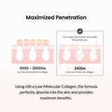 Biodance Collagen Ampoule | Korean Collagen Serum for Face, Pore Minimizing & Anti Aging Face Serum for Women | 1.69 fl. oz