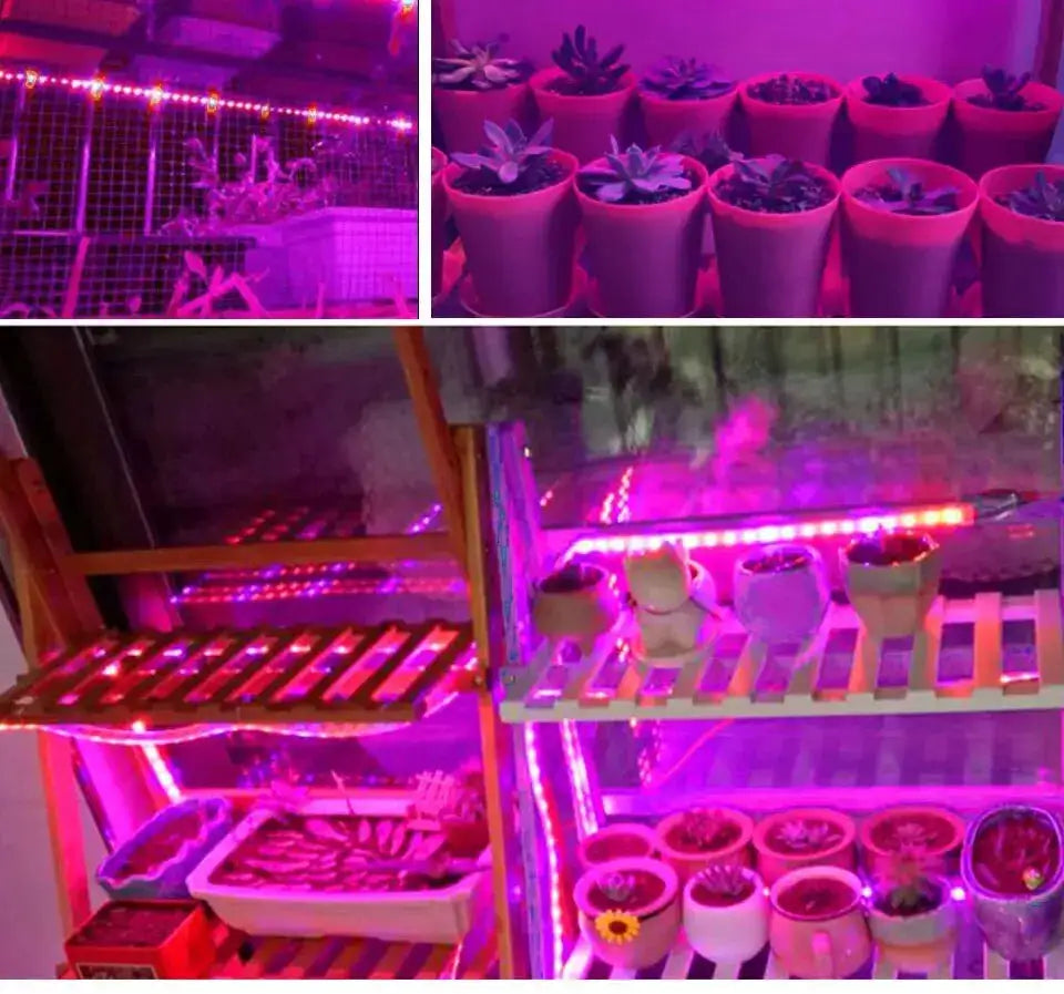 AmmToo 1-5M Plant Light Grow LED Strip 5V USB Full Spectrum Phyto LED for Greenhouse Tent Hydroponic Plants Flower Seed Lighting - Lootquake