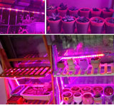 AmmToo 1-5M Plant Light Grow LED Strip 5V USB Full Spectrum Phyto LED for Greenhouse Tent Hydroponic Plants Flower Seed Lighting - Lootquake