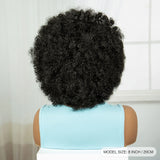 8" Short Afro Kinky Curly Cornrow Braids Wig | Full Lace | Baby Hair