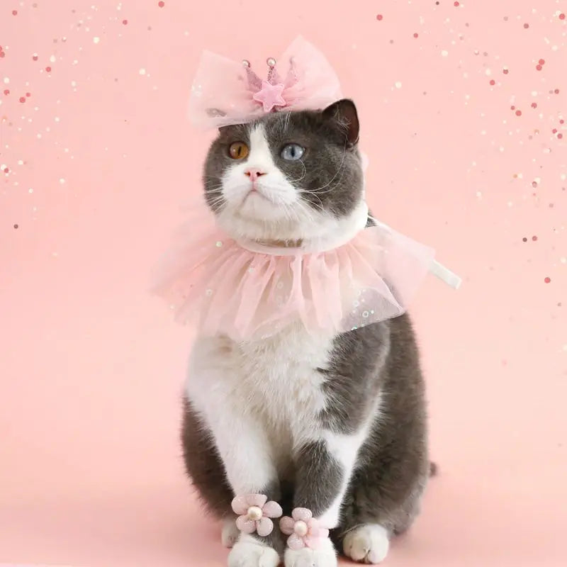 Pet Dog Birthday Party Dog Hat Candy Color Dot Lace Cat Bib Suit Cute Small Medium Dogs Costume Cap Pet Products Accessories