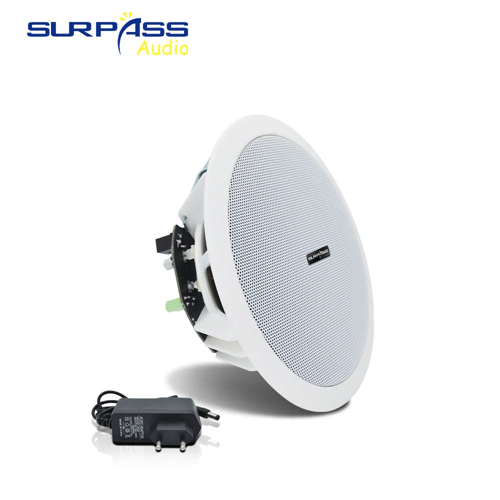 Amplificateur de classe D intégré, haut-parleur de plafond compatible Bluetooth à gamme complète, pour musique de fond de cinéma maison, bonne qualité