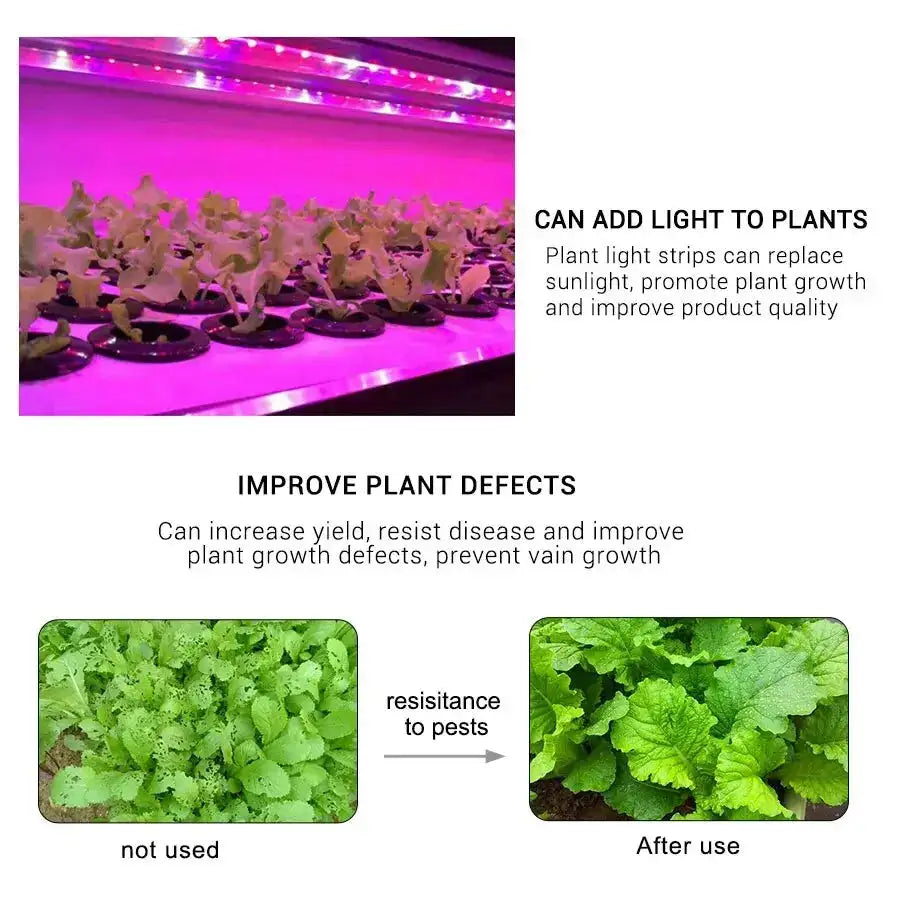AmmToo 1-5M Plant Light Grow LED Strip 5V USB Full Spectrum Phyto LED for Greenhouse Tent Hydroponic Plants Flower Seed Lighting - Lootquake