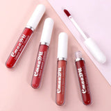 Lipstick Waterproof Long lasting Make-up for women Cosmetics Korean makeup Matte lipstick