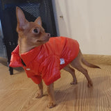 Veste imperméable pour petit chien, vêtements pour York, manteau pour petit chien, sweat à capuche pour chihuahua, produits pour animaux de compagnie, laisse pour chien, hiver