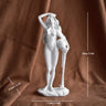 Estatuas de diosas griegas clásicas: pequeñas figuras artísticas, esculturas de Venus para estanterías de oficina y decoración de sala de estar.