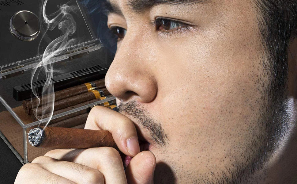 Boîte à cigares Scotte en acrylique avec hygromètre et humidificateur pour 20 cigares. Comprend un coupe-cigare et des accessoires pour perforer les cigares.