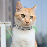 Soft Suede Leather Cat Collar Bling Rhinestone Cats Collars with Bell Safety Breakaway Pet Puppy Necklace Adjustable XS S Pink