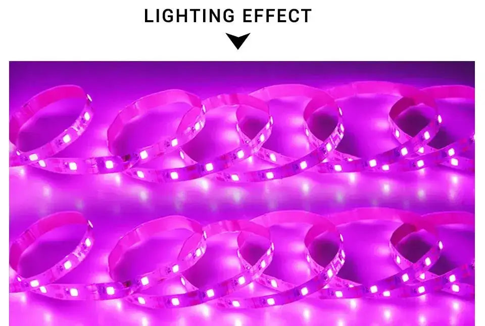 AmmToo 1-5M Plant Light Grow LED Strip 5V USB Full Spectrum Phyto LED for Greenhouse Tent Hydroponic Plants Flower Seed Lighting - Lootquake