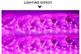 AmmToo 1-5M Plant Light Grow LED Strip 5V USB Full Spectrum Phyto LED for Greenhouse Tent Hydroponic Plants Flower Seed Lighting - Lootquake
