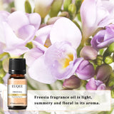 Huile parfumée EUQEE 10 ml, noix de coco, vanille, chewing-gum, pour la fabrication de bougies, de savons, de gâteaux au café et de bois de cèdre. Huiles aromatiques de qualité supérieure.