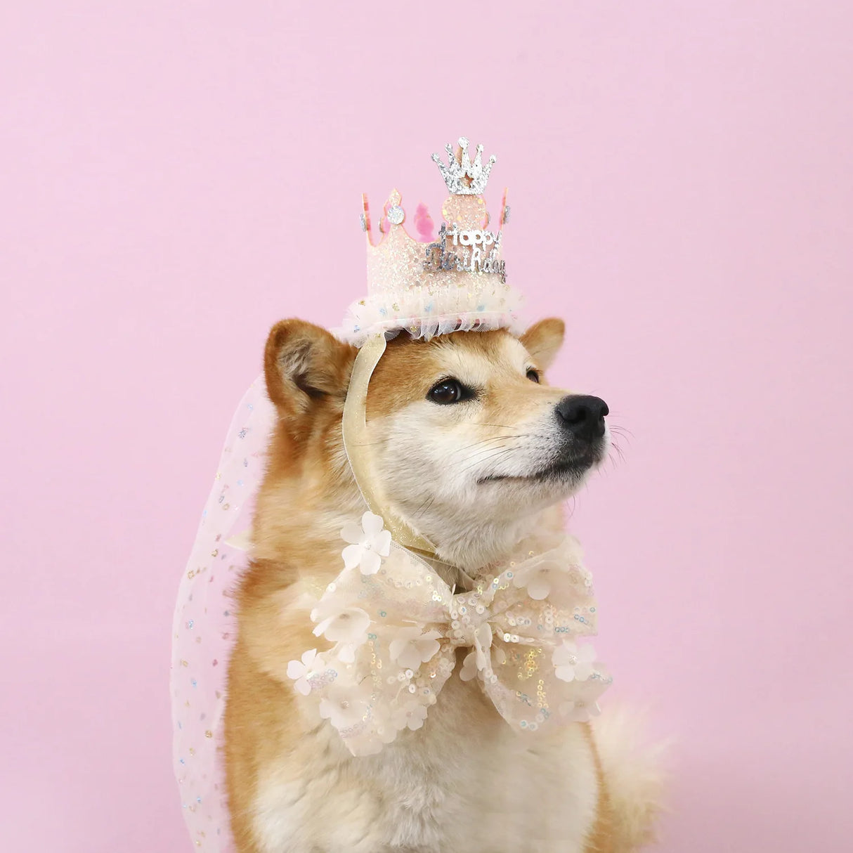 Pet Dog Birthday Party Dog Hat Candy Color Dot Lace Cat Bib Suit Cute Small Medium Dogs Costume Cap Pet Products Accessories