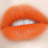 Orange Color Lipstick Lip Glaze Matt Silky Smooth Not Easy To Fade Lip Gloss Long Lasting Lip Stick Sexy Women Cosmetics Makeup