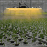 1200W IP65 LED Grow Light Indoor Grow Lamp Waterproof Board Panel Full Spectrum For Greenhouse Plants Flower Bloom Grow Tent - Lootquake