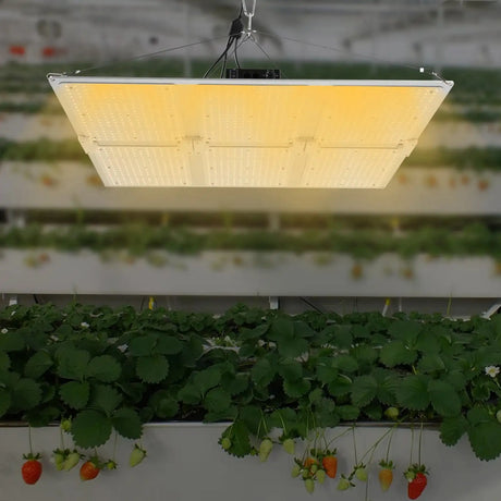 1200W IP65 LED Grow Light Indoor Grow Lamp Waterproof Board Panel Full Spectrum For Greenhouse Plants Flower Bloom Grow Tent - Lootquake