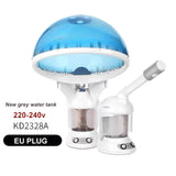 Vaporisateur vapeur pour le visage et les cheveux, humidificateur, brumisateur nano chaud, vaporisateur d'ozone pour le visage, hydratant pour les cheveux, appareil à vapeur pour salon à domicile
