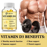 Vitamin D3 - Maintains Strong Bones and Teeth, Enhances Immunity, and Supports Muscle Growth