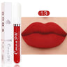 Lipstick Waterproof Long lasting Make-up for women Cosmetics Korean makeup Matte lipstick