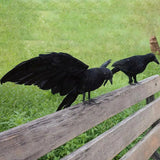 Halloween Decoracion Simulation Black Crow Raven Bird Repellent Pest Control Pigeon Repellent Event Party Bar Decoration