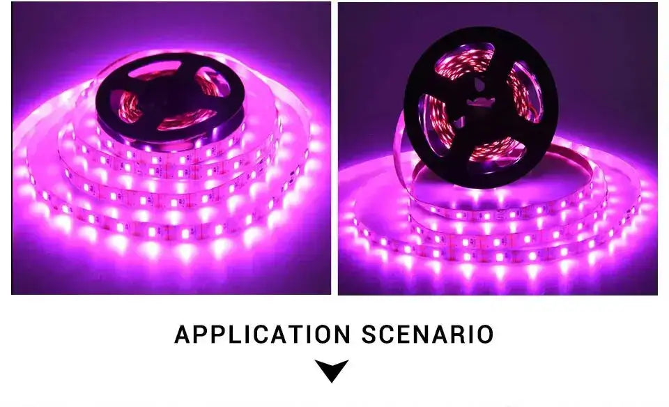 AmmToo 1-5M Plant Light Grow LED Strip 5V USB Full Spectrum Phyto LED for Greenhouse Tent Hydroponic Plants Flower Seed Lighting - Lootquake