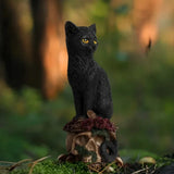 Squelettes mystérieux, personnages décoratifs, statues d'animaux, artisanat en résine