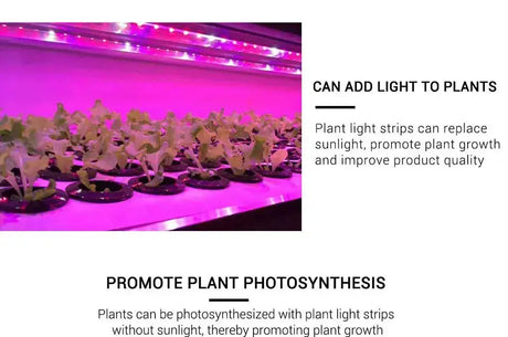 AmmToo 1-5M Plant Light Grow LED Strip 5V USB Full Spectrum Phyto LED for Greenhouse Tent Hydroponic Plants Flower Seed Lighting - Lootquake