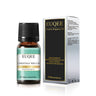 EUQEE 10ml Woody Fruit Fragrance Oil For Humidifier DIY Soap Candle Making Cedarwood Forest Pine Pumpkin Pie Coconut Pineapple