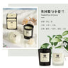 1 vela de aromaterapia con aroma a planta europea moderna para sala de estar, dormitorio, purificación del aire, fragancia duradera, decoración de vasos.