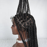 40" Long Straight Braided Wig | Full Lace | Baby Hair | Colored Braids