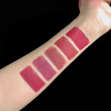 5 in 1 Lipstick Set Lightweight Matte Velvet Long Lasting Combination Lipstick Nourish Moisturizing Professional Lipliner Makeup