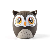 BM6DE Portable Bluetooth Speakers Karaoke Audience Calls Small Speakers Heavy Bass Wireless Bluetooth Stereo Phone Speaker