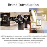 OLEVS Luxury Brand Quartz Watch for Women Stainless Steel Waterproof Ladies Wristwatch Fashion Diamond Dial Women's Watch New In - Lootquake