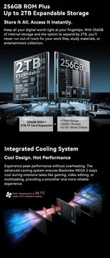 Tablettes Blackview MEGA 2 12 pouces 2K écran Widevine L1 24 Go (8 + 16) Android 15 256 Go 9000 mAh AI caméra principale Pad PC