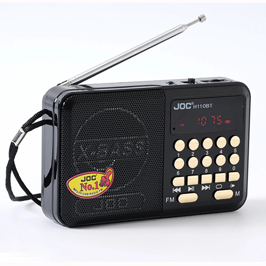 Enceinte Bluetooth portable, radio FM stéréo, sans fil, lecteur de carte TF USB, rechargeable, avec récepteur FM stéréo