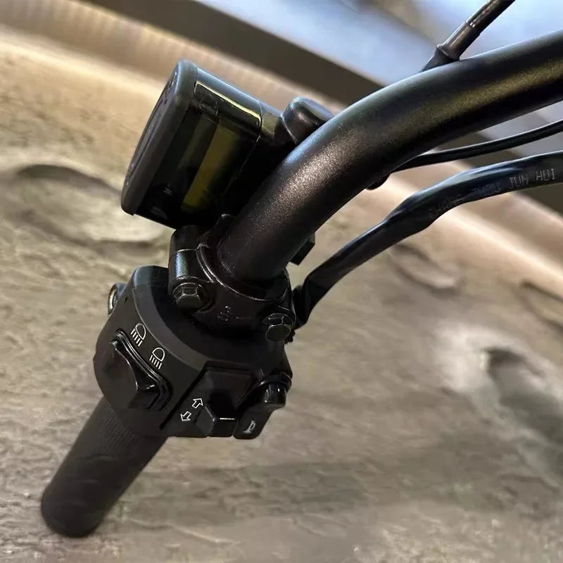 ZPW Black Warrior - Bicicleta eléctrica de carretera para adultos, 1500 W, 48 V, 60 Ah, 20 pulgadas, todoterreno, neumáticos anchos
