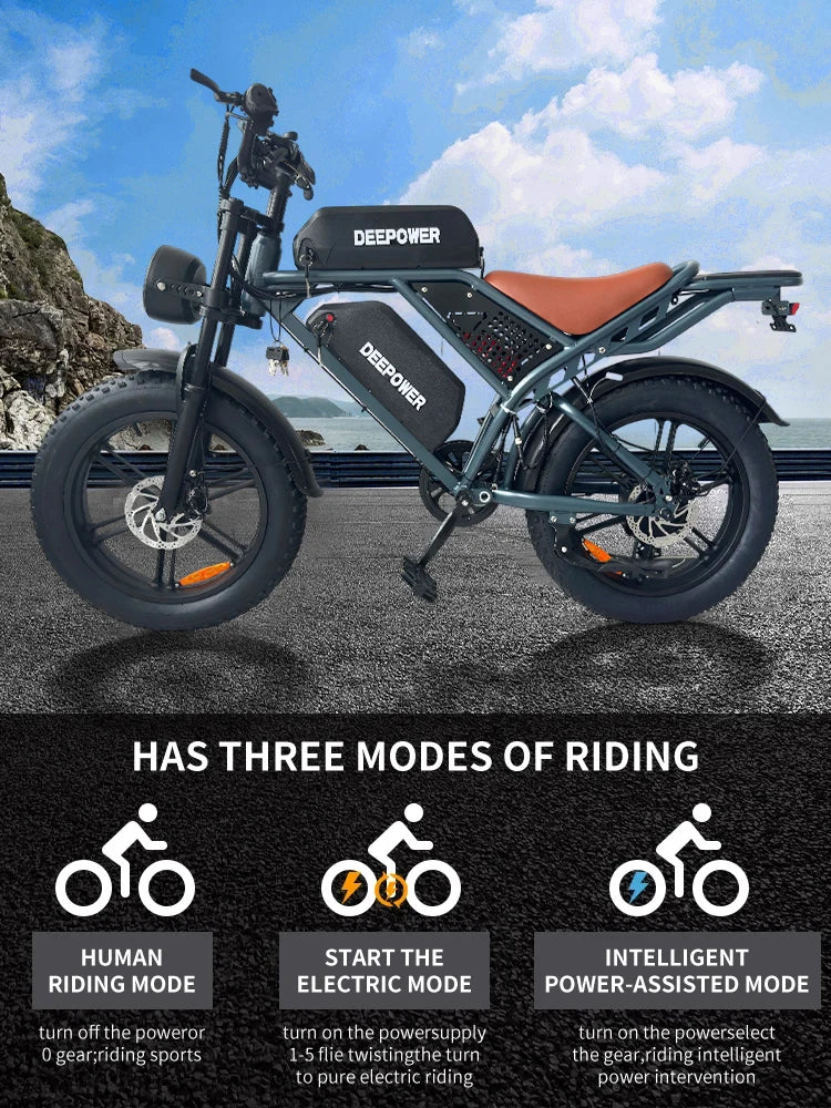 Vélo électrique tout-terrain pour adulte, 1000 W, 48 V, 60 Ah, vitesse maximale de 55 km/h, pneus larges de 20 pouces