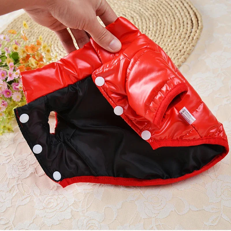 Veste imperméable pour petit chien, vêtements pour York, manteau pour petit chien, sweat à capuche pour chihuahua, produits pour animaux de compagnie, laisse pour chien, hiver