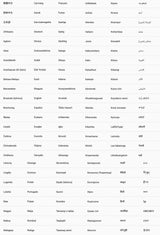 Tablette enfant BDF 7 pouces Google Learning Education Games Quad Core 4 Go RAM 64 Go ROM WiFi Bluetooth Double caméra