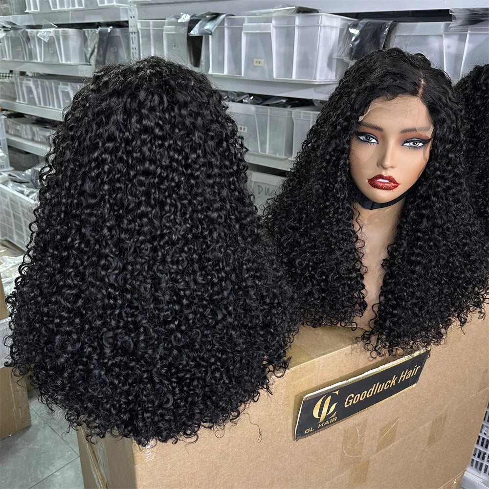 250% Density 3C 4A Burmese Curly HD Lace Frontal Wig | Transparent Lace Human Hair