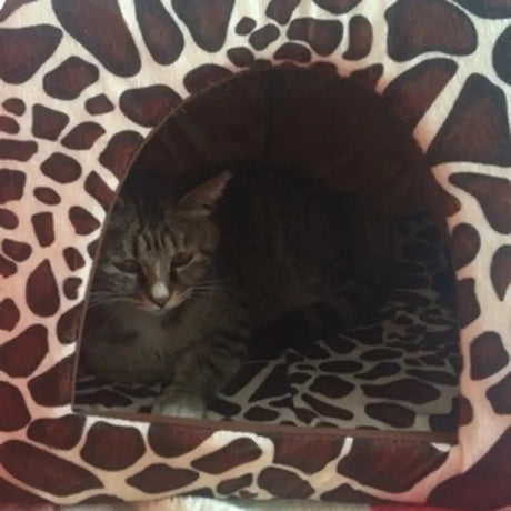 Kennel Doggy Fashion Cushion Basket Soft Strawberry Pet Dog Cat House Pet Tent Dog House Small Dogs Kitten Bed Cat House - Lootquake