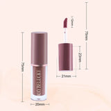 Essential Oil Moisturizing Lipstick Set 12 Colors Matte Lip Gloss Long-Lasting Fashion Makeup Gift Set Lipstick For Women