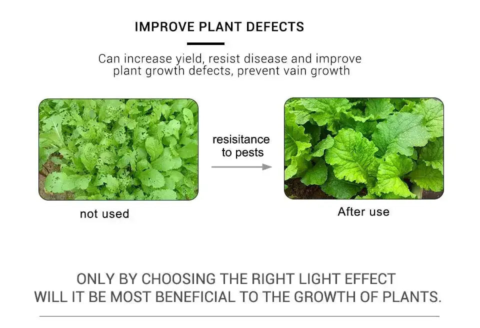 AmmToo 1-5M Plant Light Grow LED Strip 5V USB Full Spectrum Phyto LED for Greenhouse Tent Hydroponic Plants Flower Seed Lighting - Lootquake