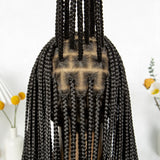 Black Cornrow Braided Wig | Full Lace Front | Twisted Braids | Crochet Hair