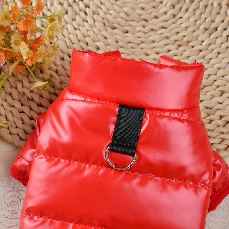 Veste imperméable pour petit chien, vêtements pour York, manteau pour petit chien, sweat à capuche pour chihuahua, produits pour animaux de compagnie, laisse pour chien, hiver
